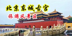 插插插插黄插黄色电影网站中国北京-东城古宫旅游风景区